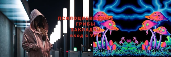 гидра Вяземский
