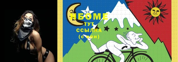 гидра Вяземский