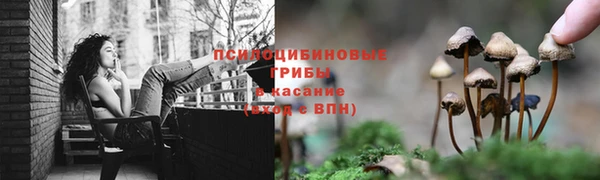 спайс Вязьма