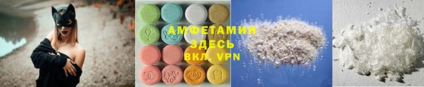 индика Володарск