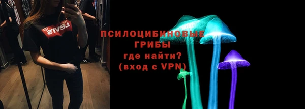 гидра Вяземский