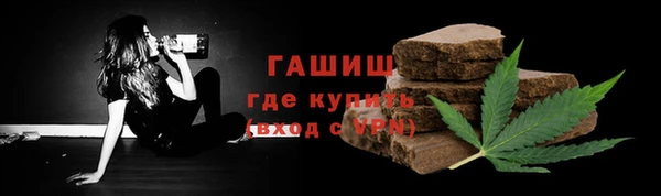 гидра Вяземский