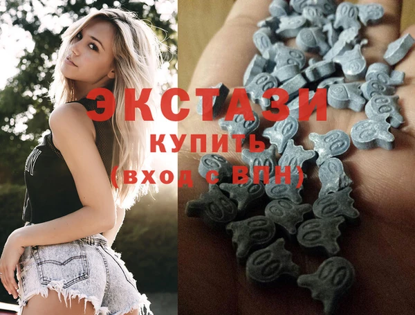 индика Володарск