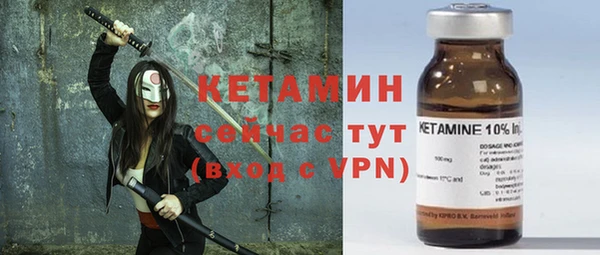 гидра Вяземский