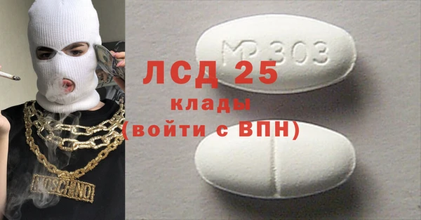 гидра Вяземский